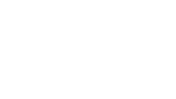 BRI Global Financial